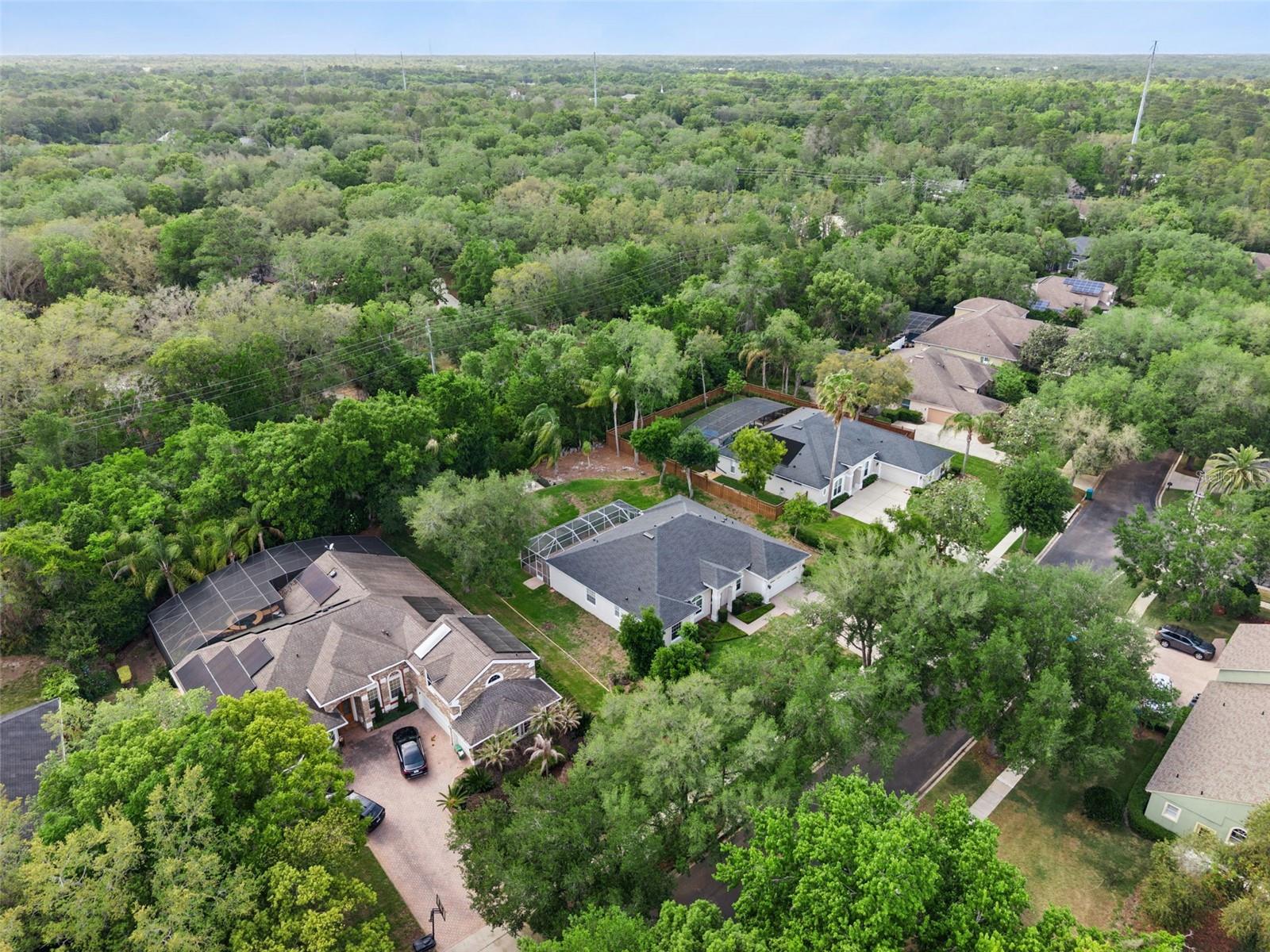 Image 58 of 61 For 156 Seville Chase Drive