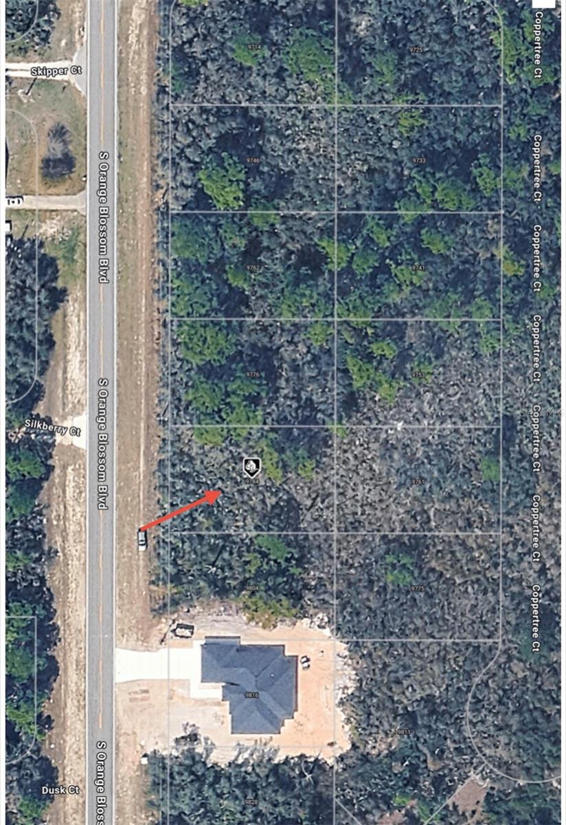 Image 2 of 8 For 9784 Orange Blossom Boulevard