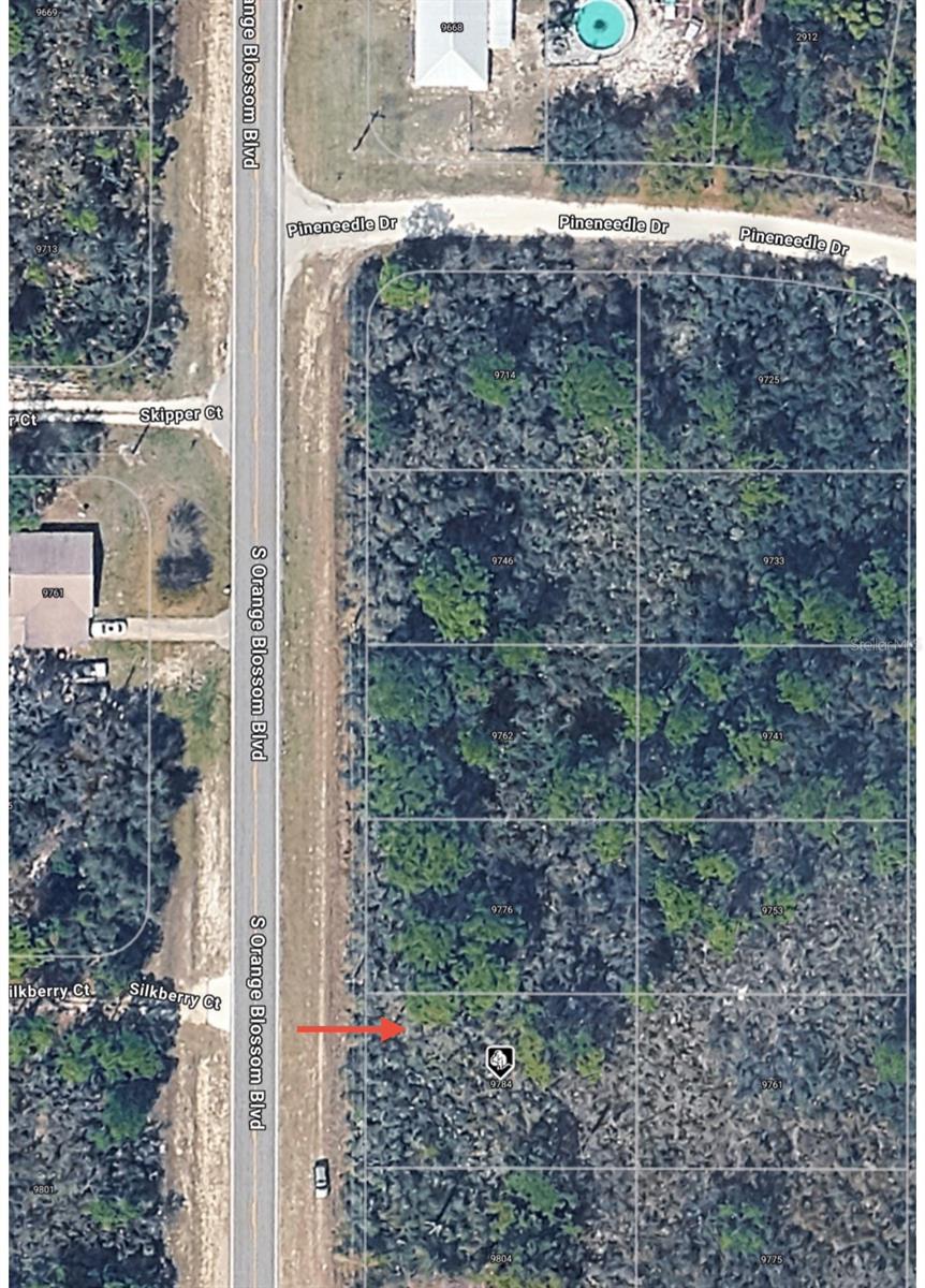 Image 5 of 8 For 9784 Orange Blossom Boulevard