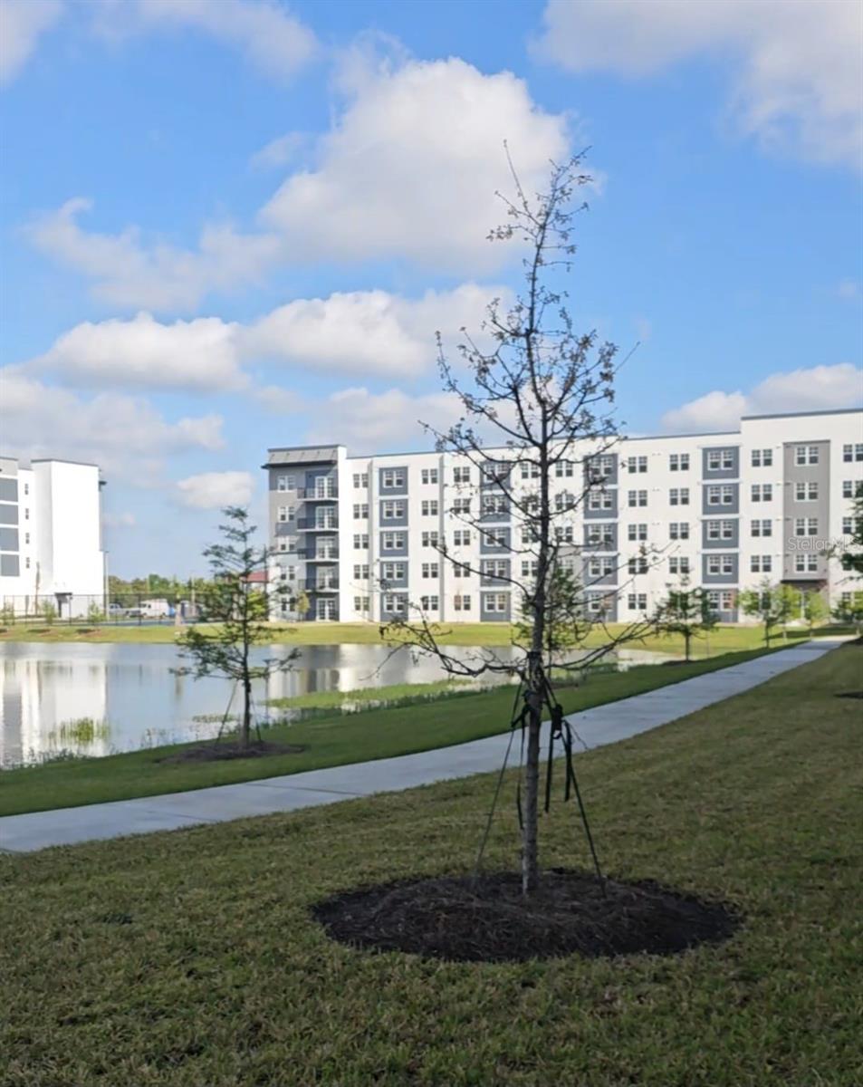 Image 19 of 20 For 5587 Millenia Park Blvd  215