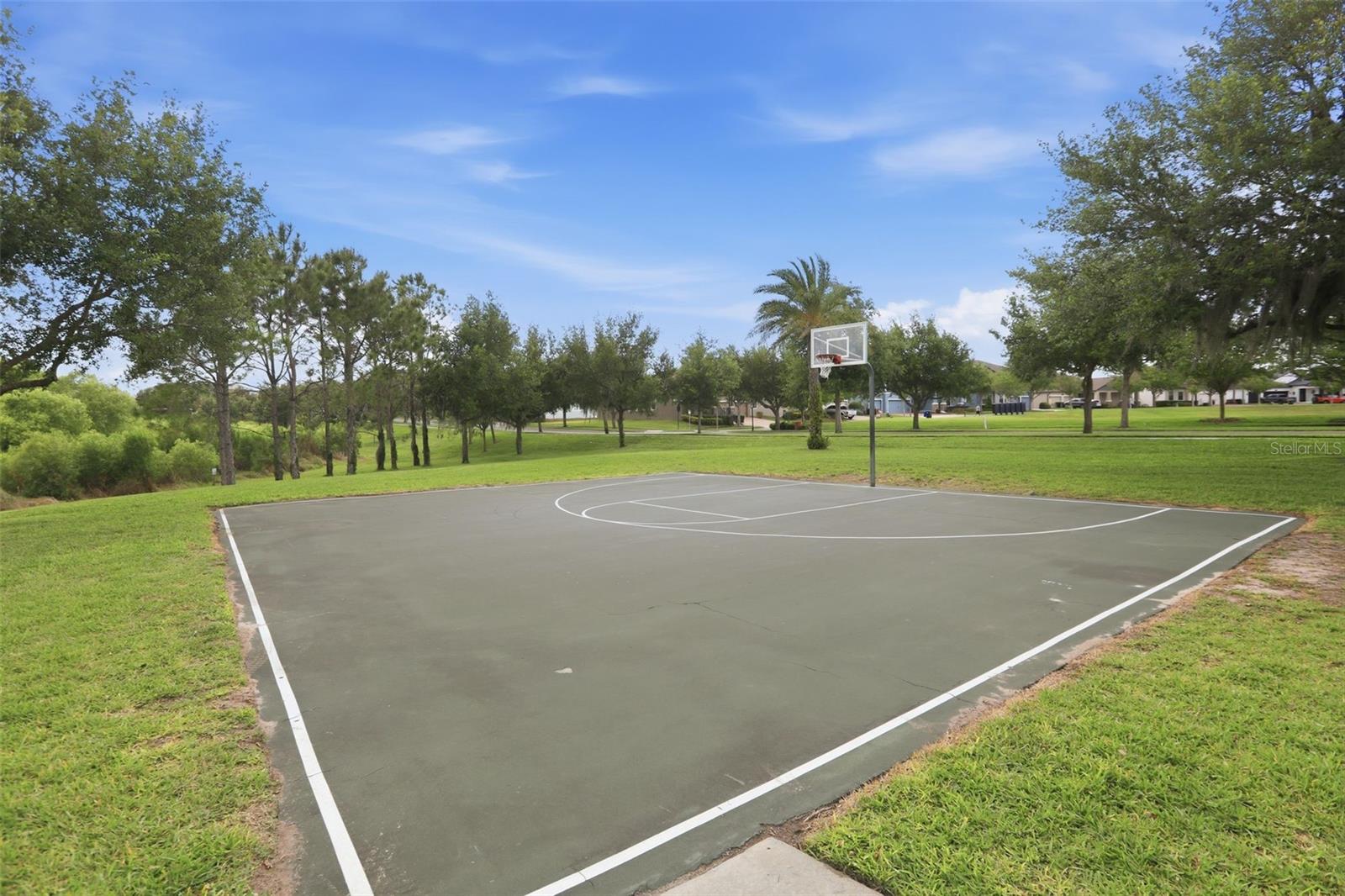 Image 55 of 56 For 14834 Bahama Swallow Boulevard