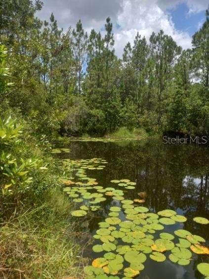Image 47 of 52 For 2477 Thacker Trail