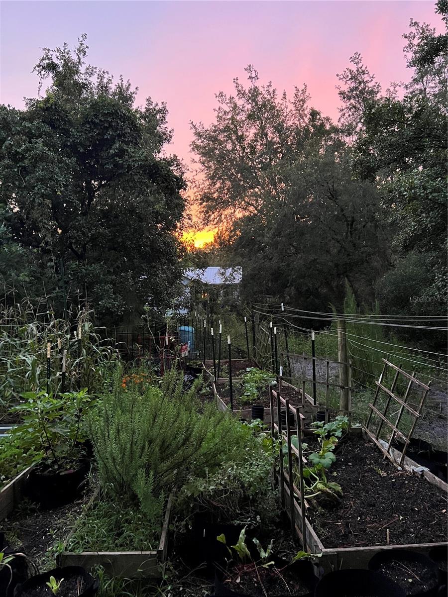 Image 51 of 52 For 2477 Thacker Trail