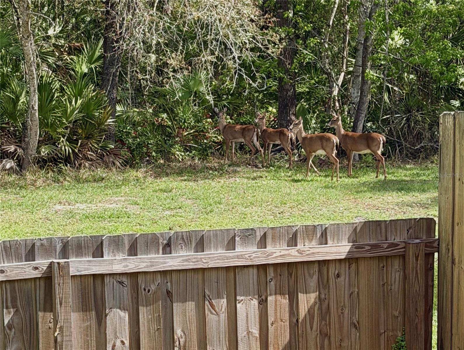 Image 14 of 14 For 1010 Brielle Avenue