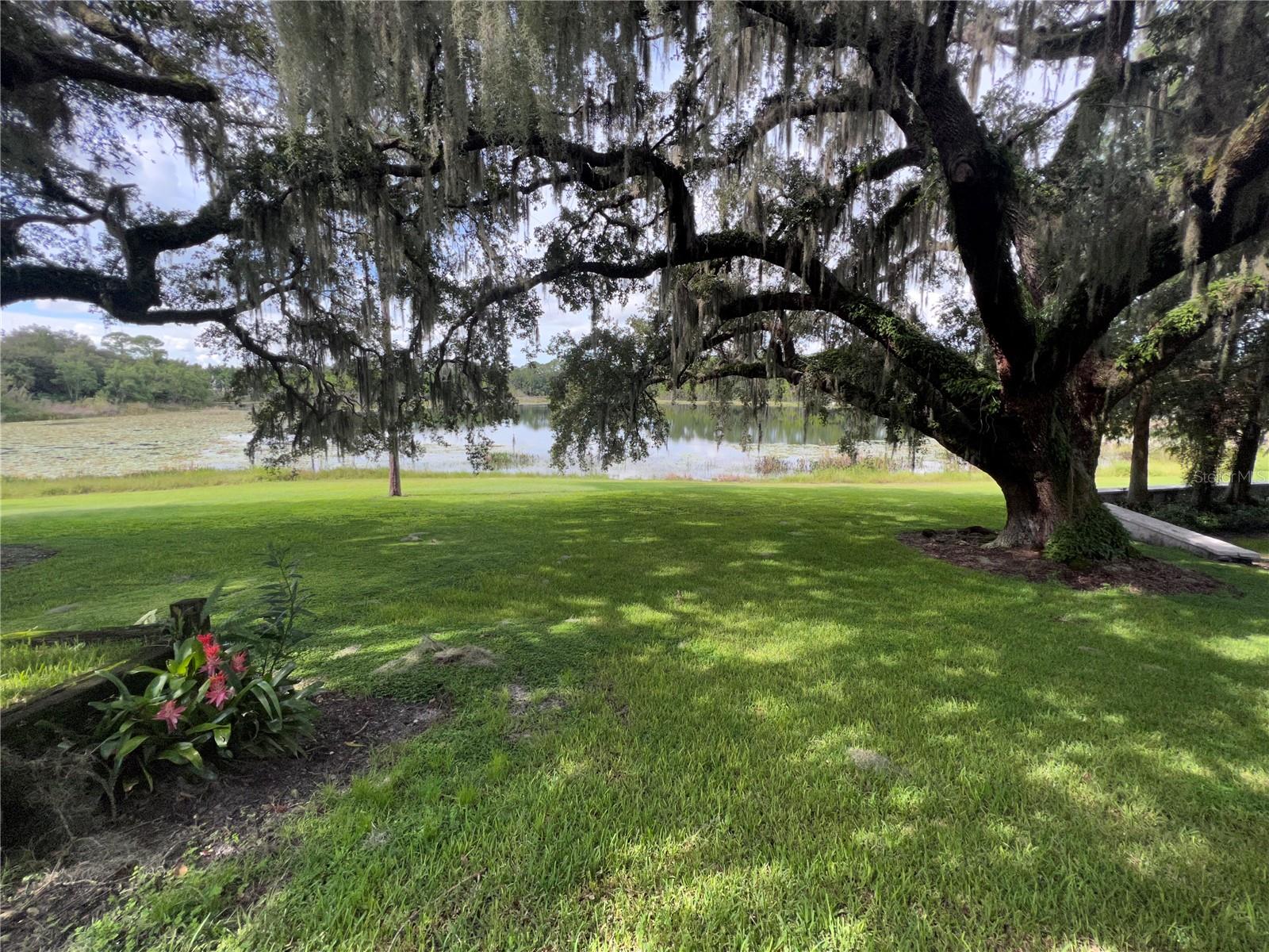 Image 26 of 26 For 2891 Greenwood Springs Loop