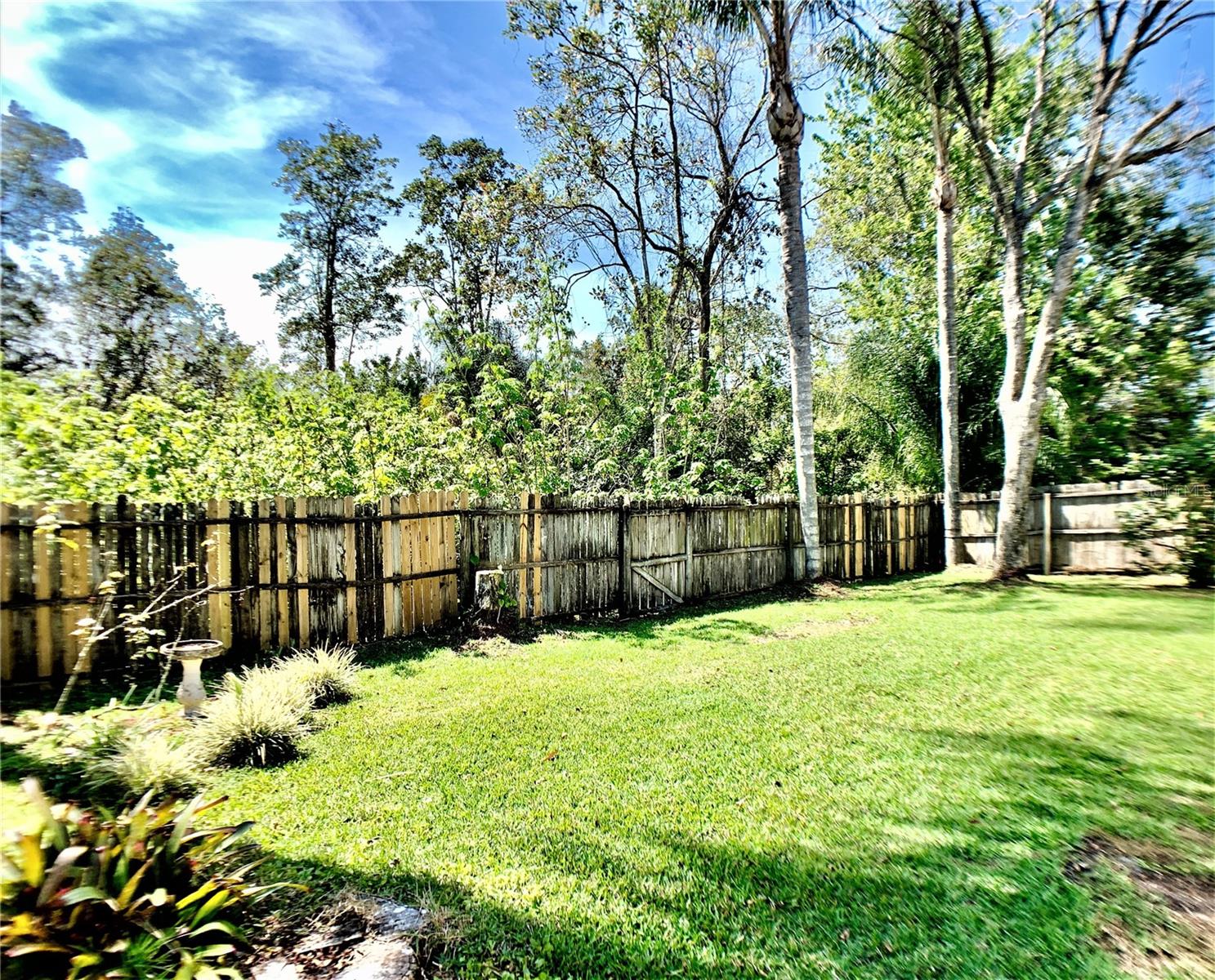 Image 24 of 26 For 295 Morning Glory Drive