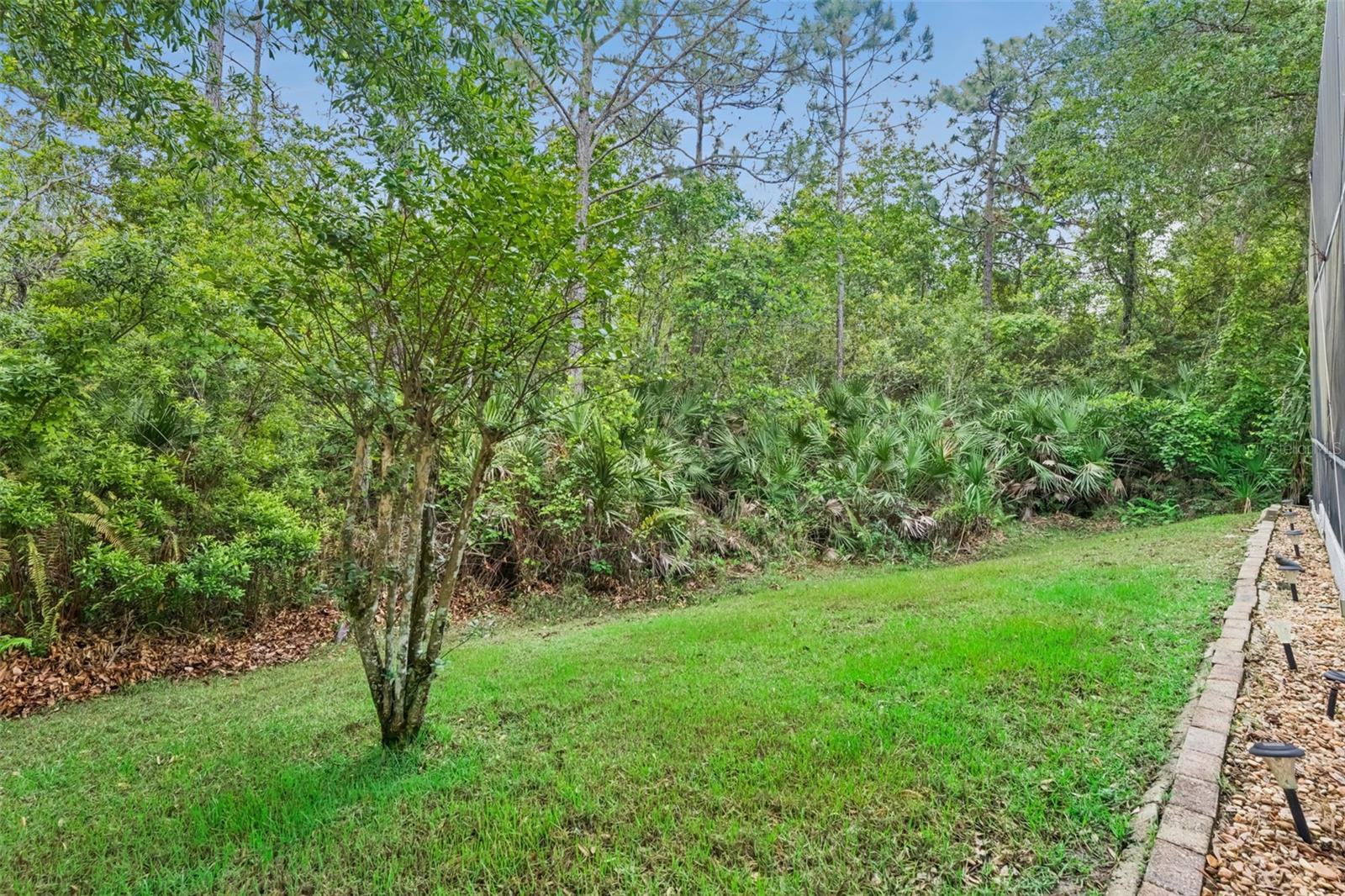 Image 46 of 82 For 2319 Carnation Hill Court