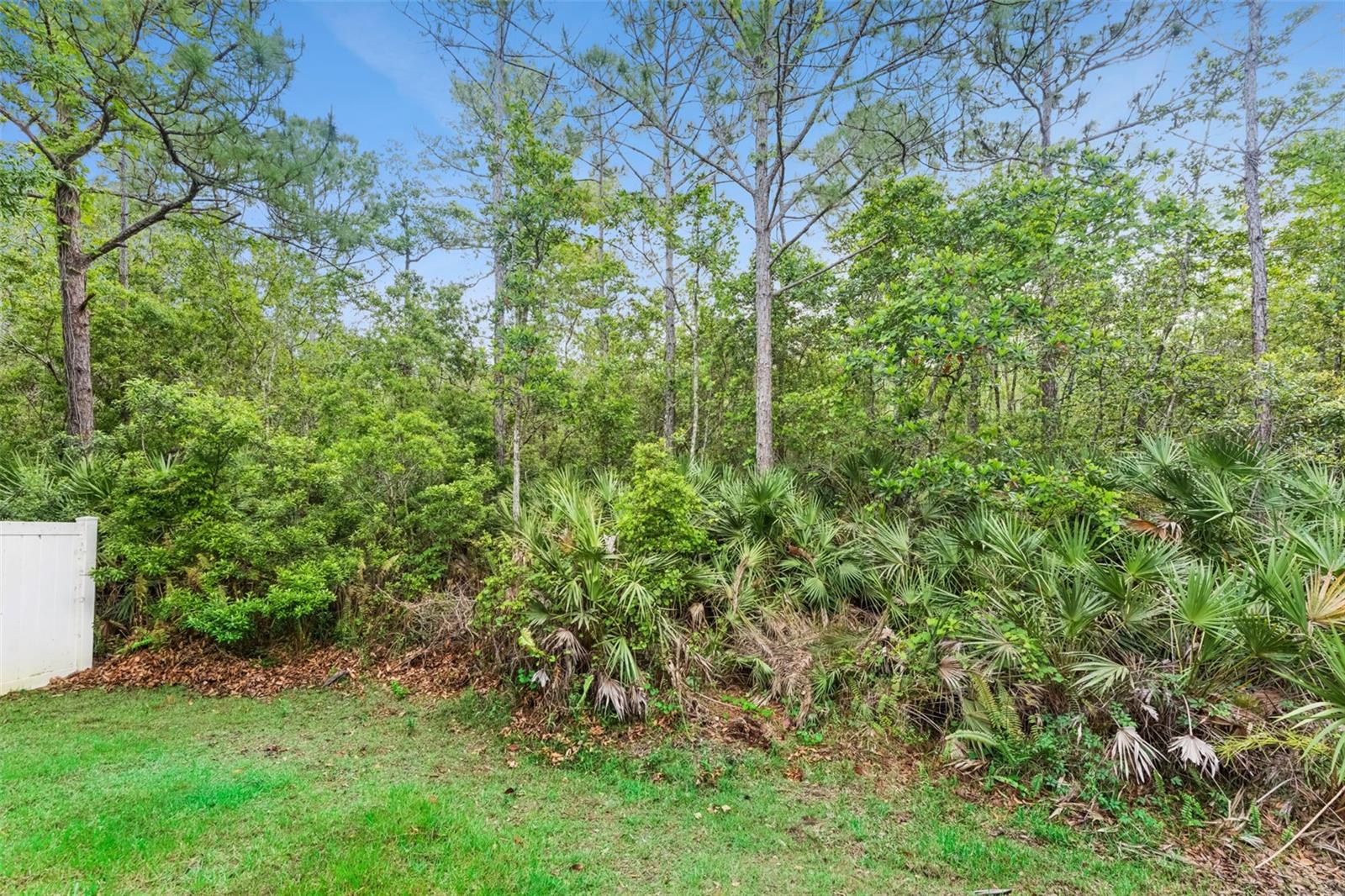 Image 47 of 82 For 2319 Carnation Hill Court