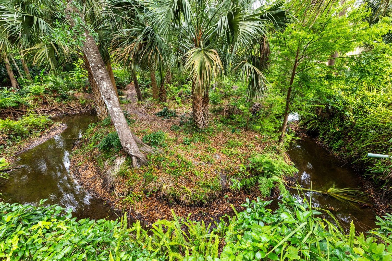 Image 7 of 60 For 100 Milinda Lane