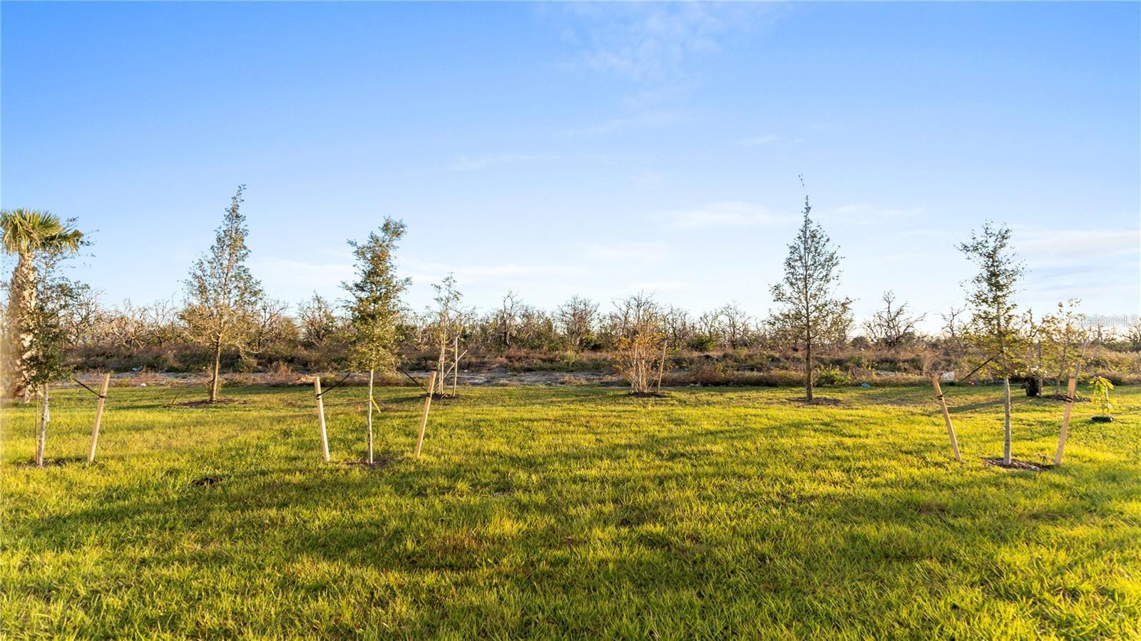 Image 4 of 25 For 14503 Crestavista Avenue