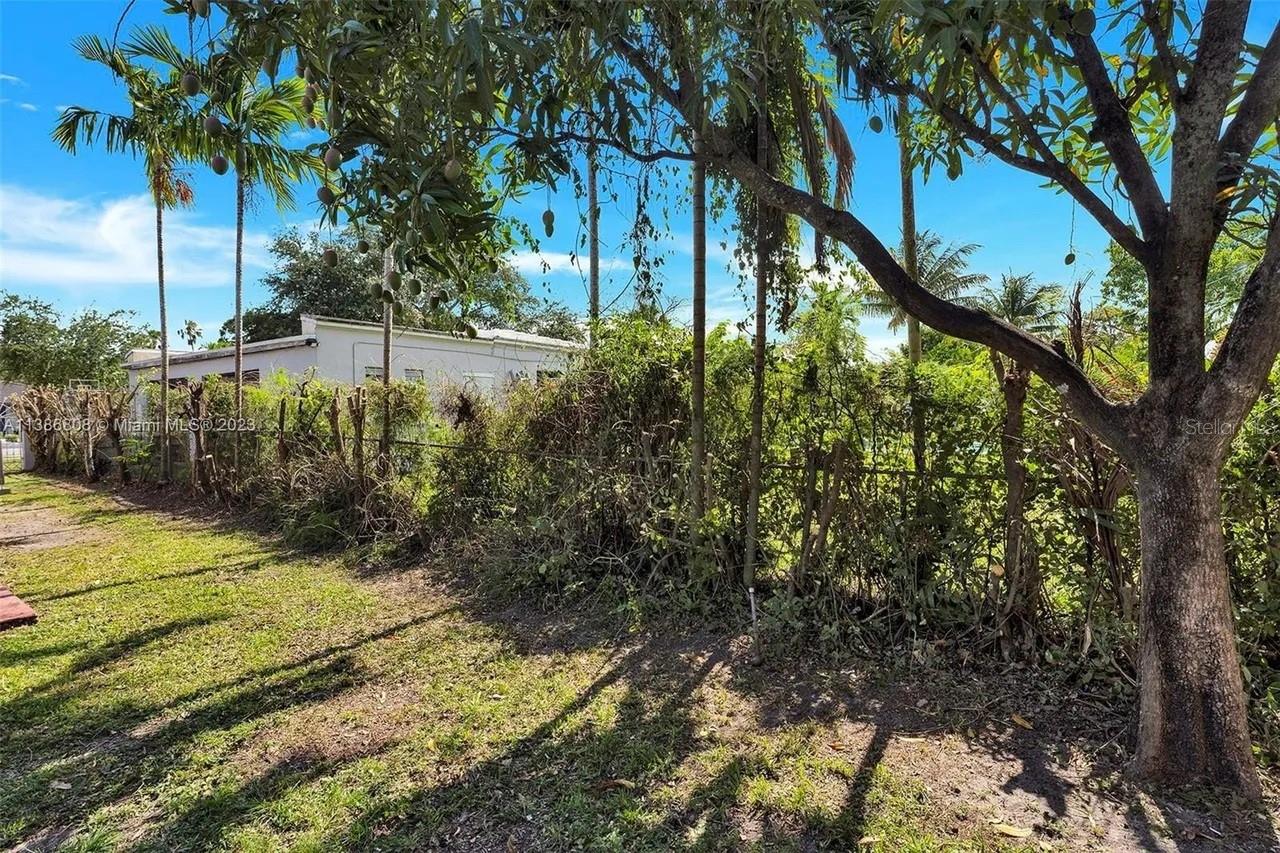 Image 31 of 31 For 437 Swan Avenue