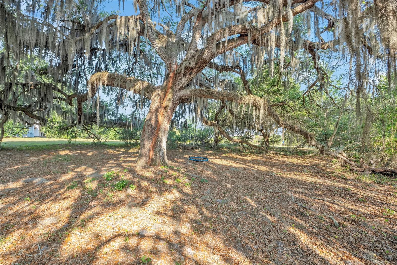 Image 61 of 69 For 4610 Oak Cove Lane