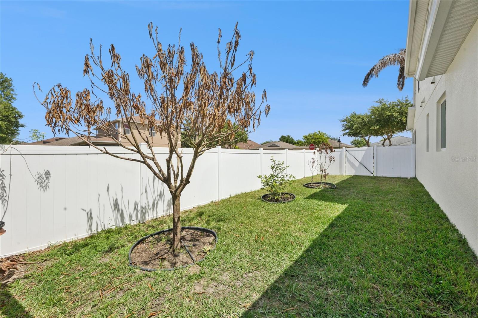 Image 38 of 53 For 3177 Bayou Lane