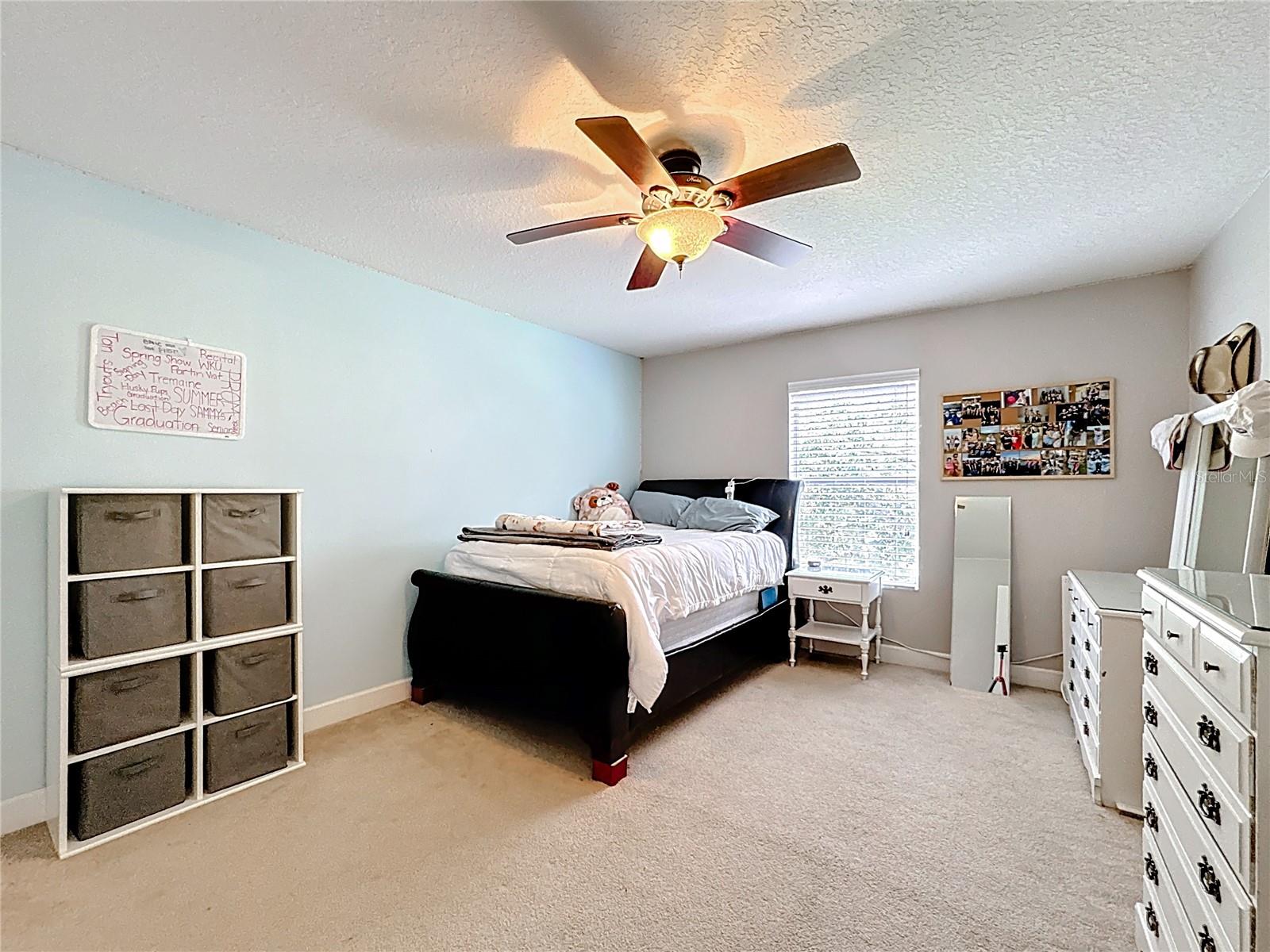 Image 24 of 51 For 2685 Regal Pine Trail