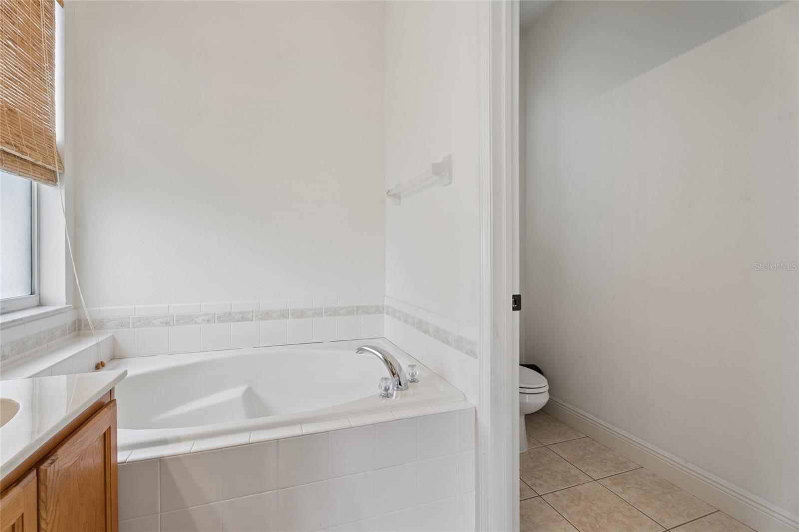 Image 16 of 39 For 14227 Lake Live Oak Drive