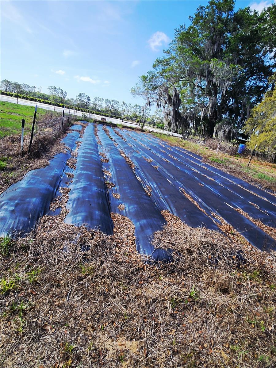 Image 75 of 83 For 23100 Highway 42