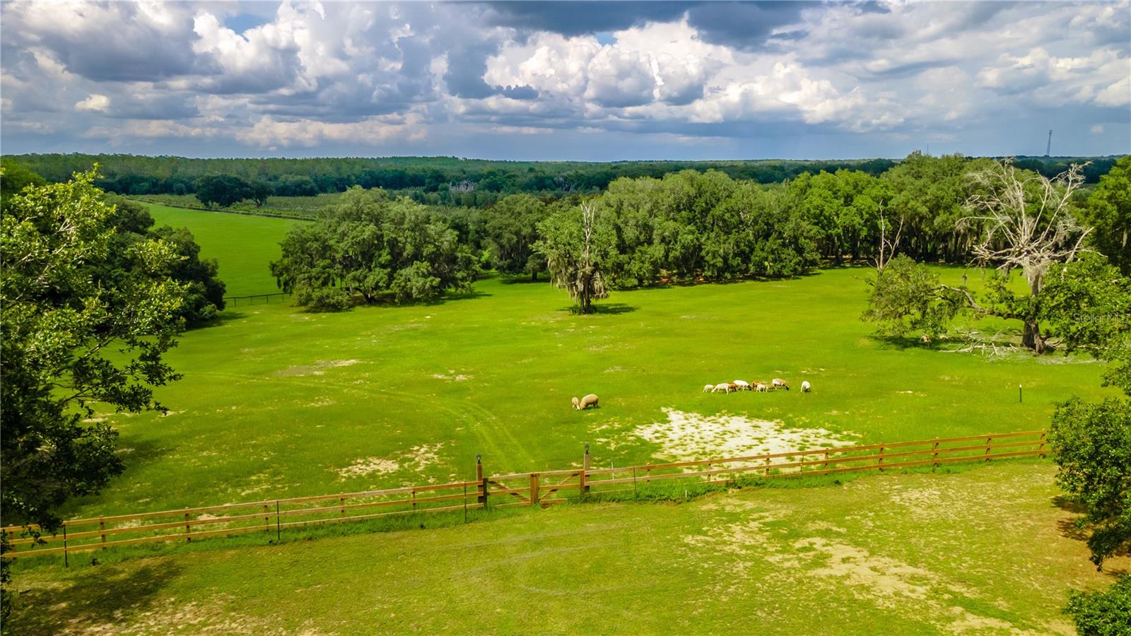 Image 78 of 83 For 23100 Highway 42