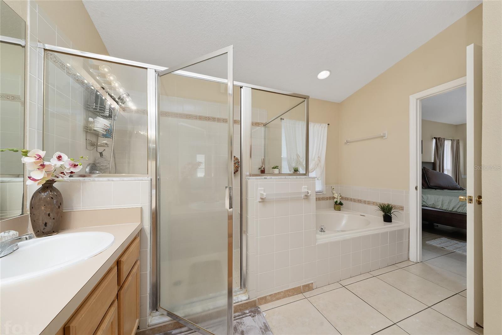 Image 20 of 44 For 831 Albi Court