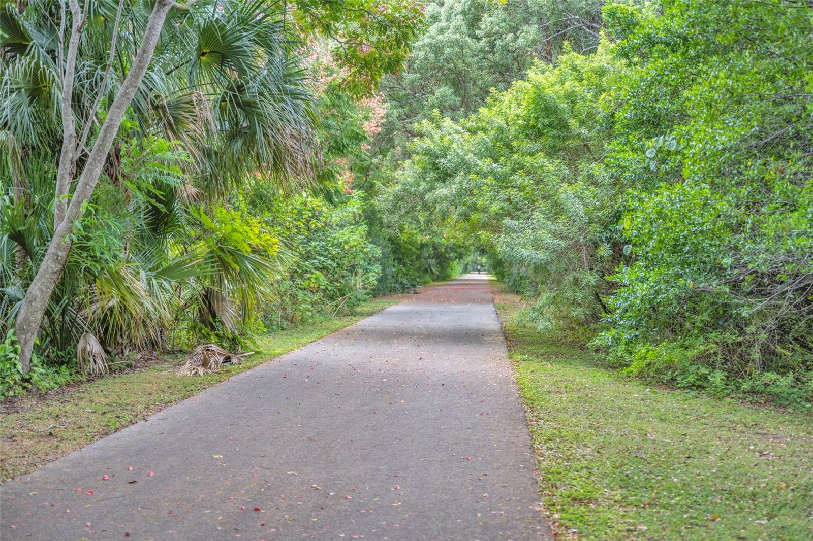 Image 44 of 44 For 1507 Golfside Drive