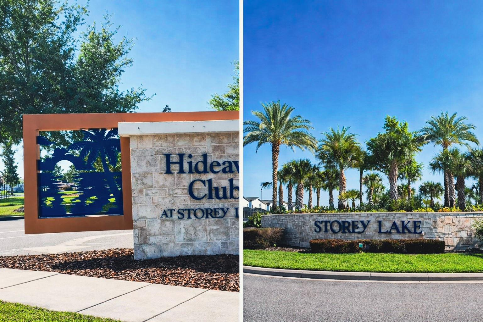 Image 3 of 54 For 2981 Protagonist Street