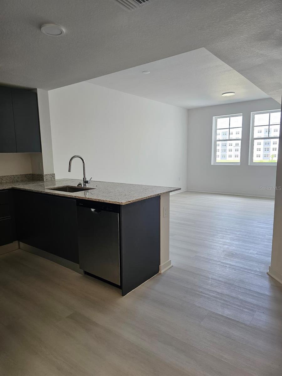 Image 3 of 20 For 5587 Millenia Park Blvd  315