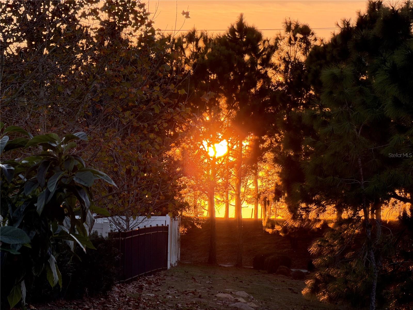 Image 58 of 66 For 6154 Hamlin Reserve Boulevard