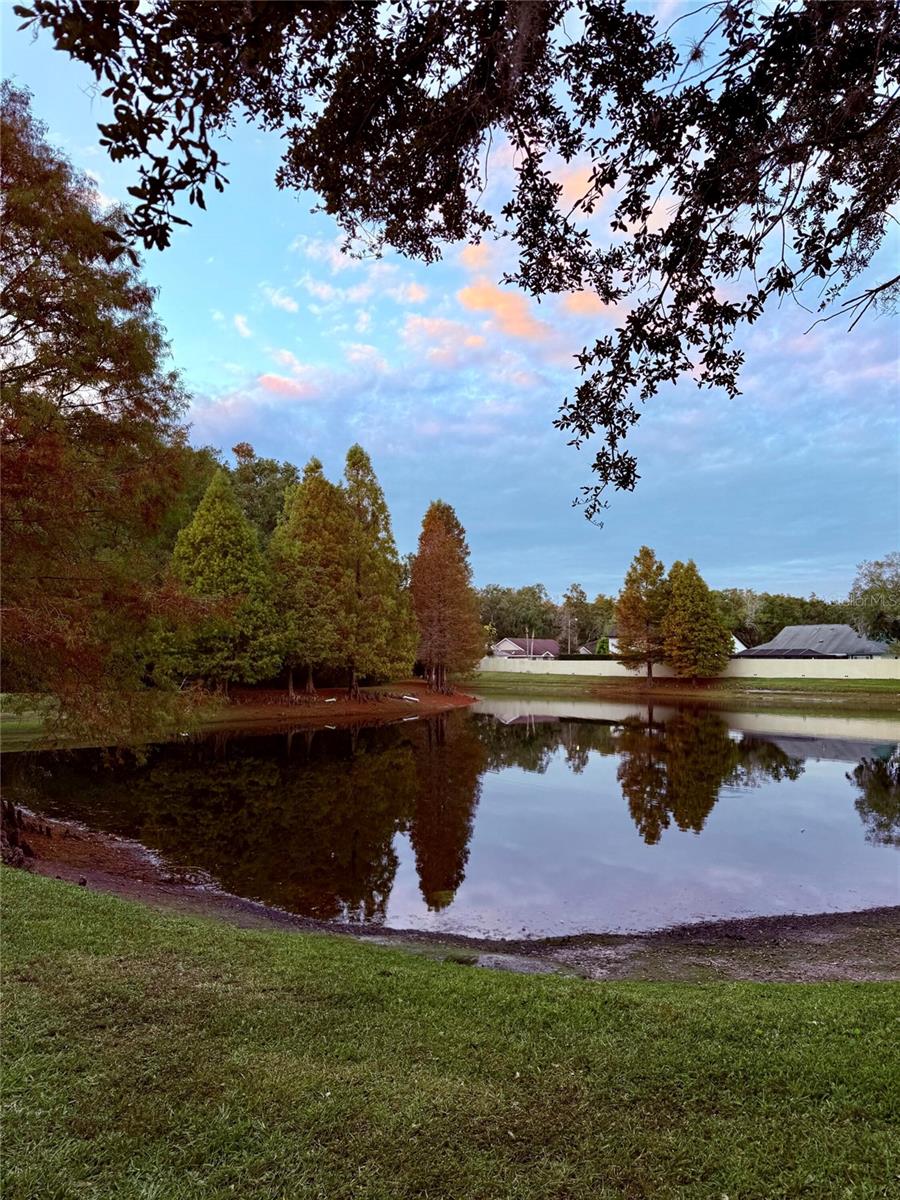 Image 50 of 55 For 6517 Spring Oak Court