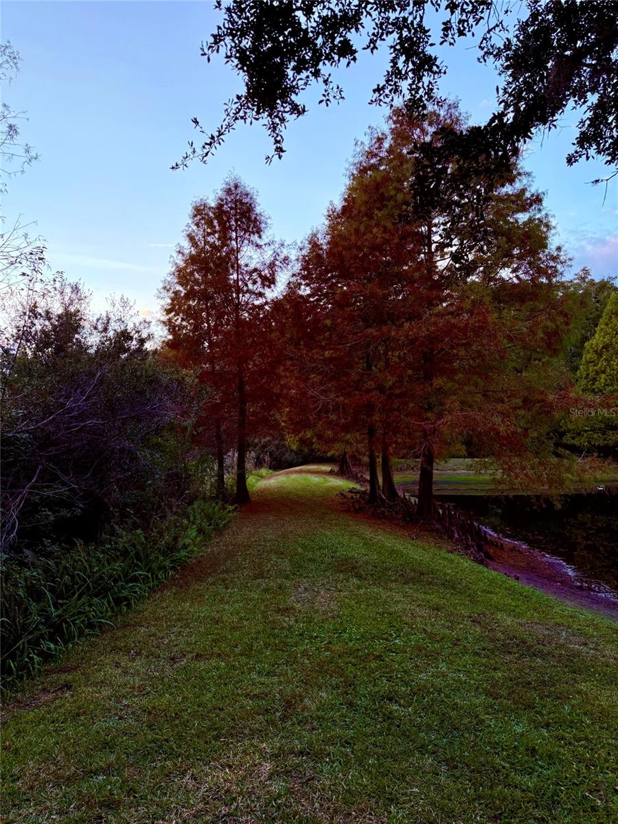 Image 51 of 55 For 6517 Spring Oak Court