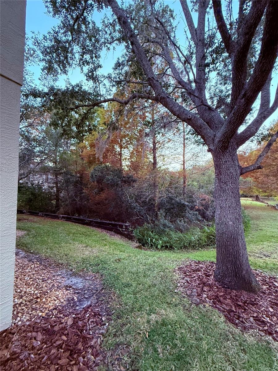 Image 52 of 55 For 6517 Spring Oak Court