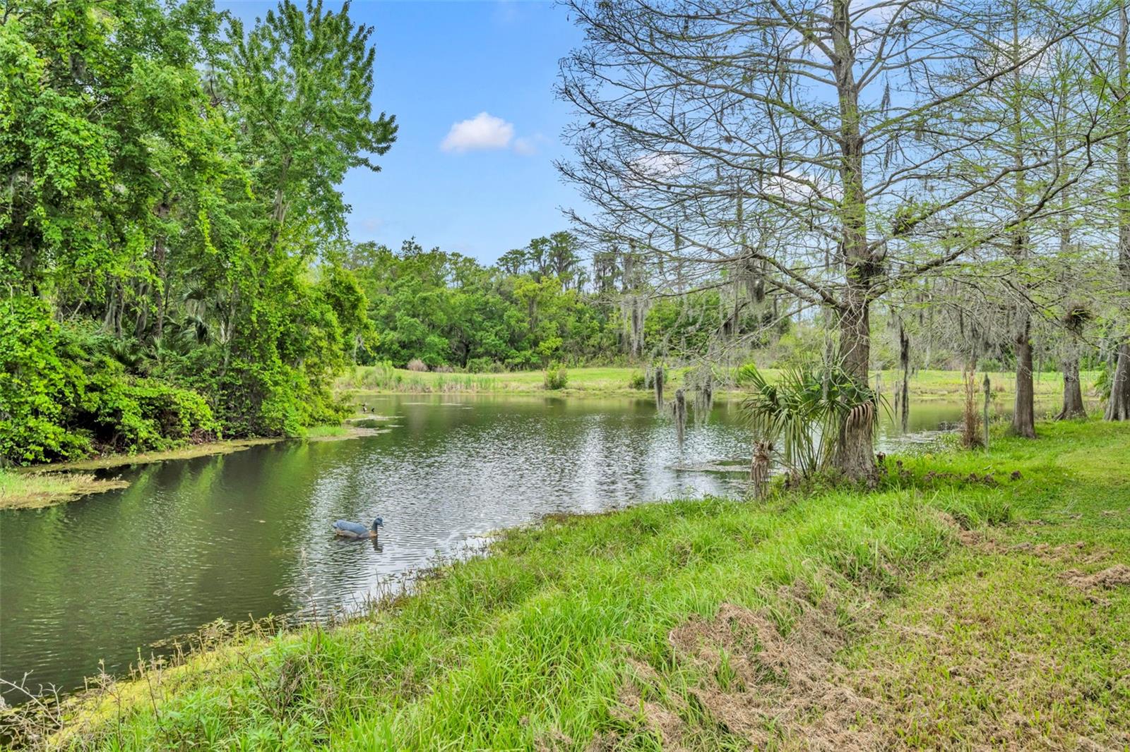 Image 53 of 68 For 13568 Dornoch Drive