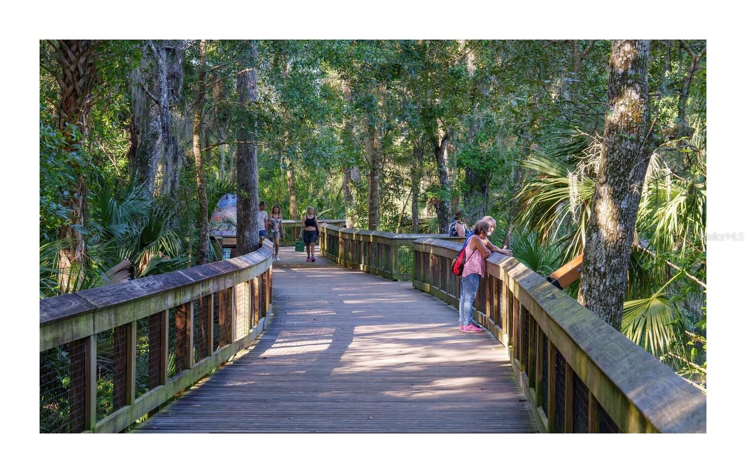 Image 71 of 83 For 388 Sweetwater Springs St