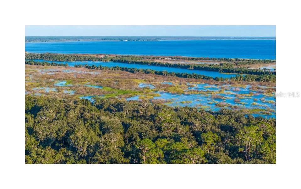 Image 74 of 83 For 388 Sweetwater Springs St