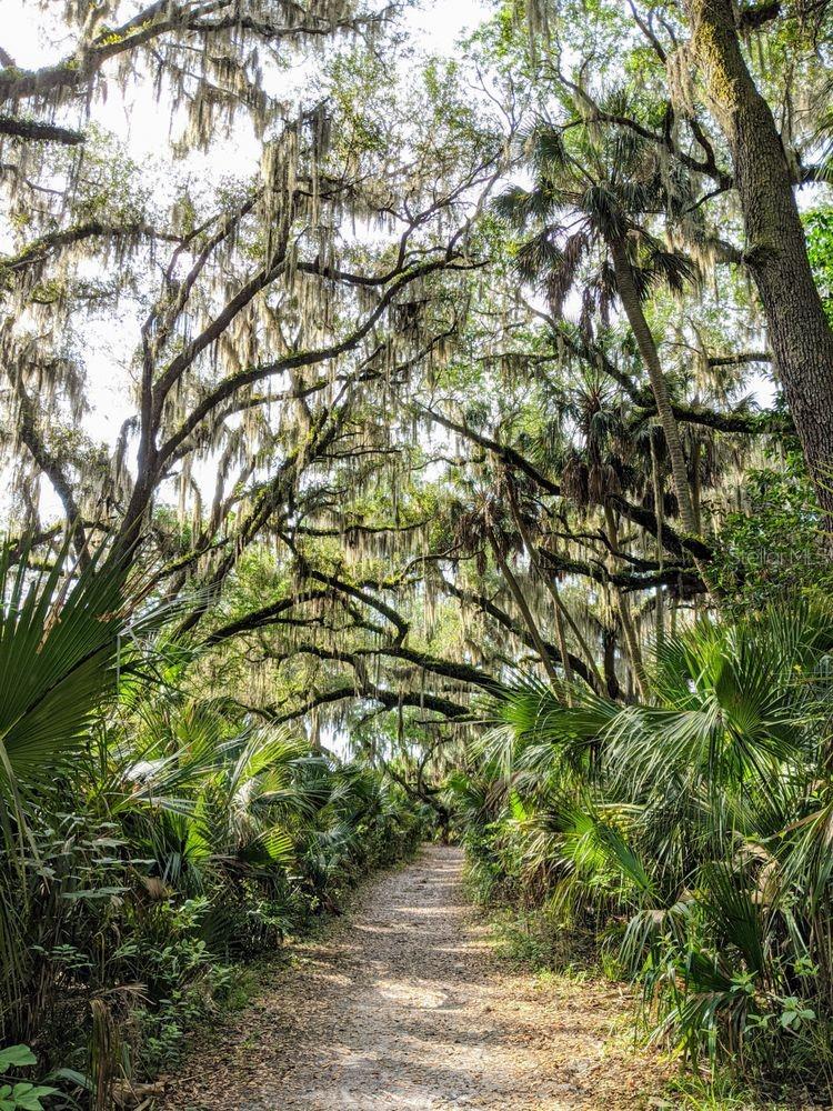 Image 78 of 83 For 388 Sweetwater Springs St