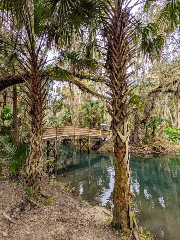 Image 79 of 83 For 388 Sweetwater Springs St