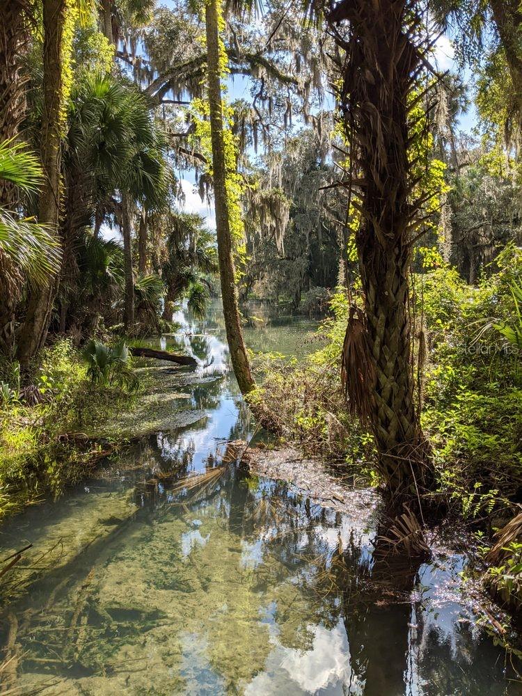 Image 80 of 83 For 388 Sweetwater Springs St