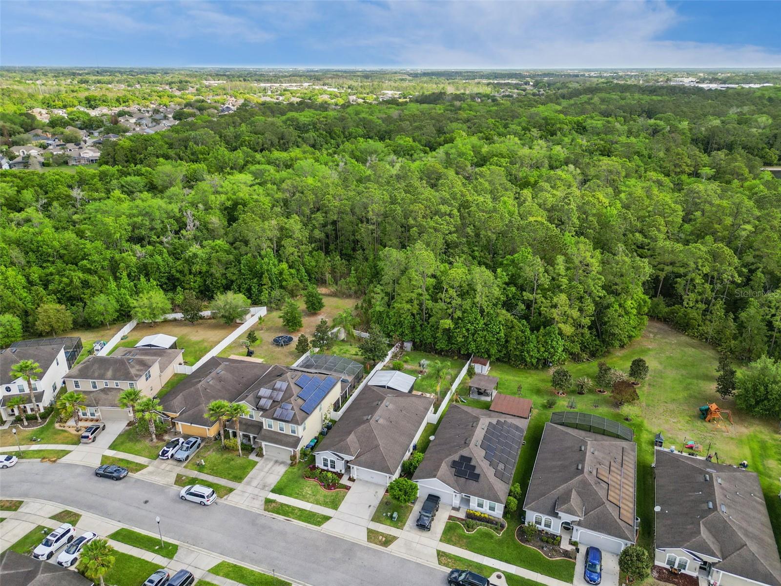 Image 45 of 58 For 10756 Inside Loop