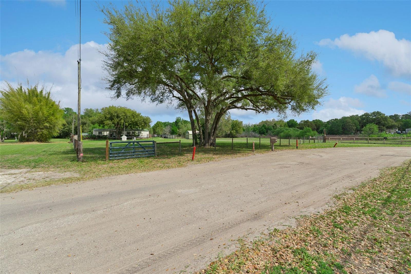 Image 35 of 35 For 33601 Tammy Lane