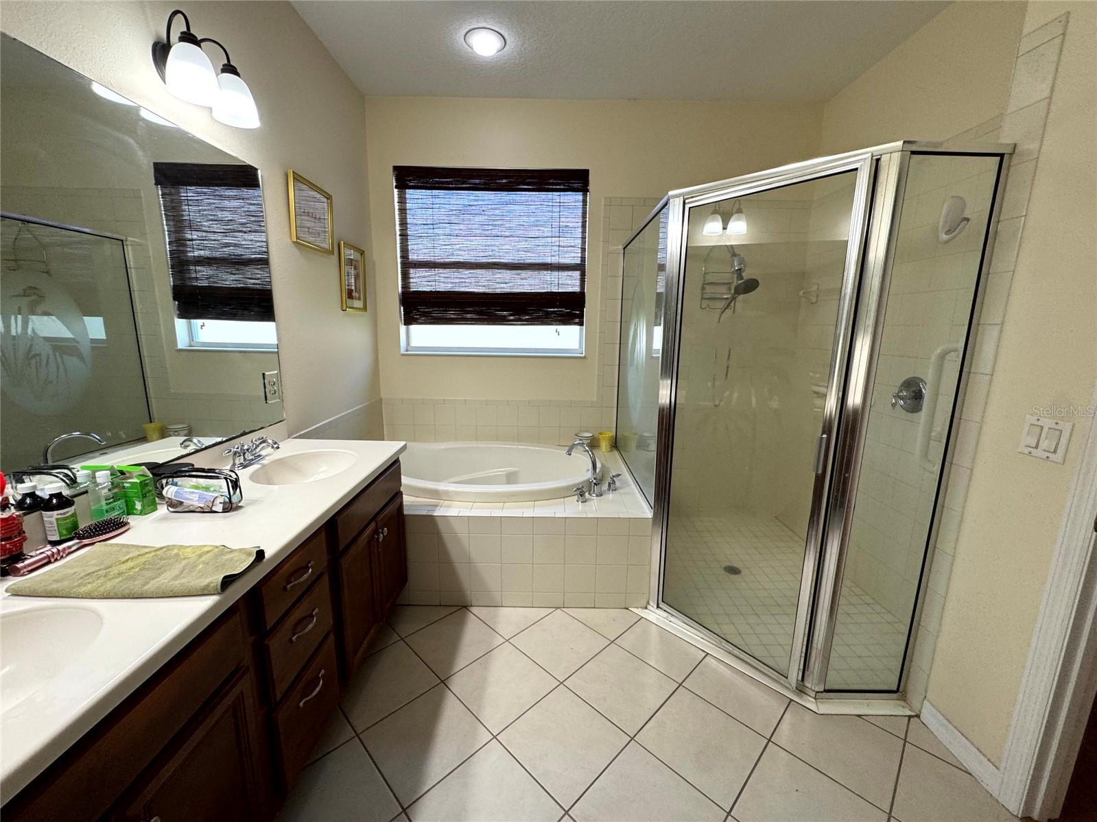 Image 46 of 50 For 26712 Augusta Springs Circle