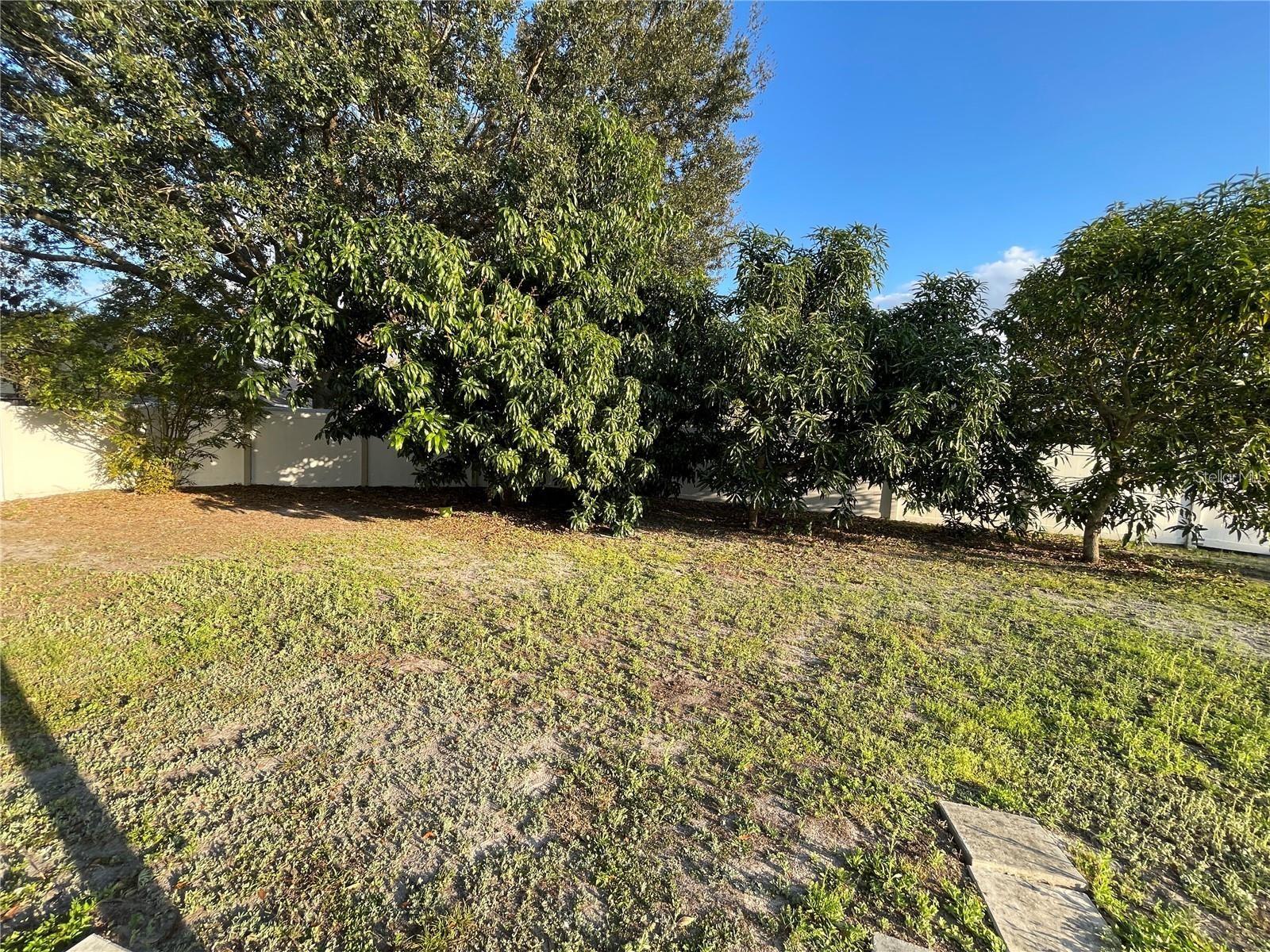 Image 12 of 13 For 8581 Fort Thomas Way