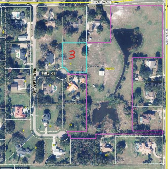 Image 2 of 11 For 13125 Filly Court