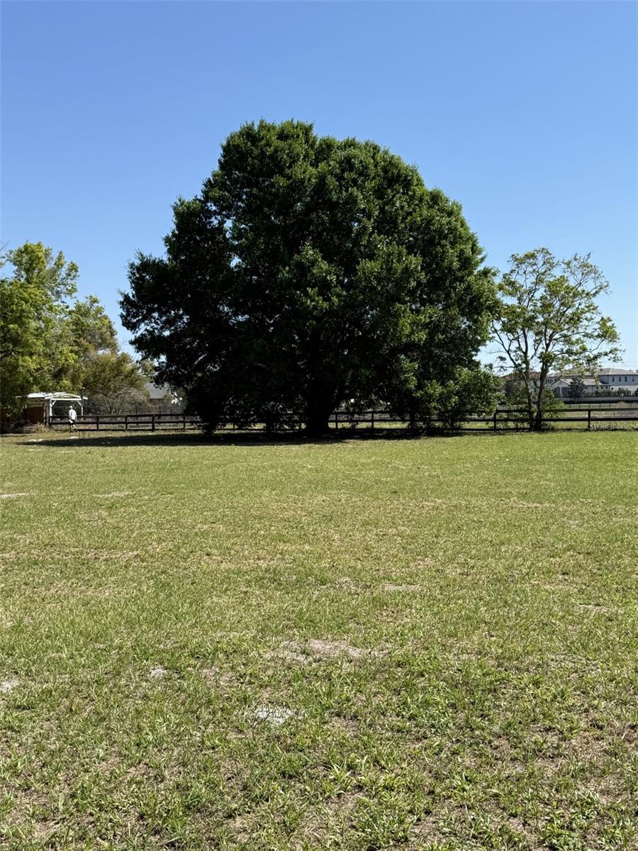 Image 5 of 11 For 13125 Filly Court