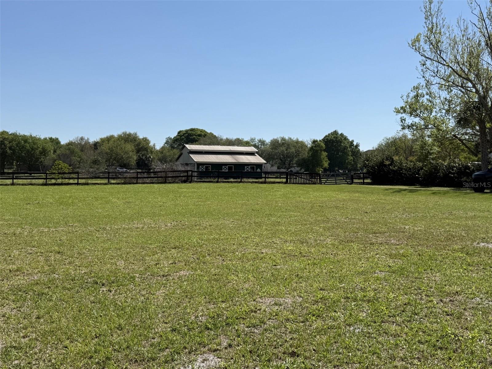 Image 6 of 11 For 13125 Filly Court