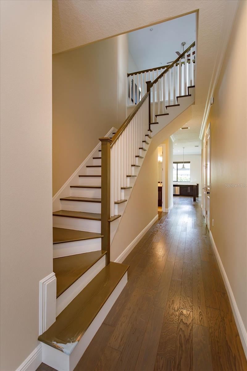 Image 5 of 35 For 1441 Oneco Avenue