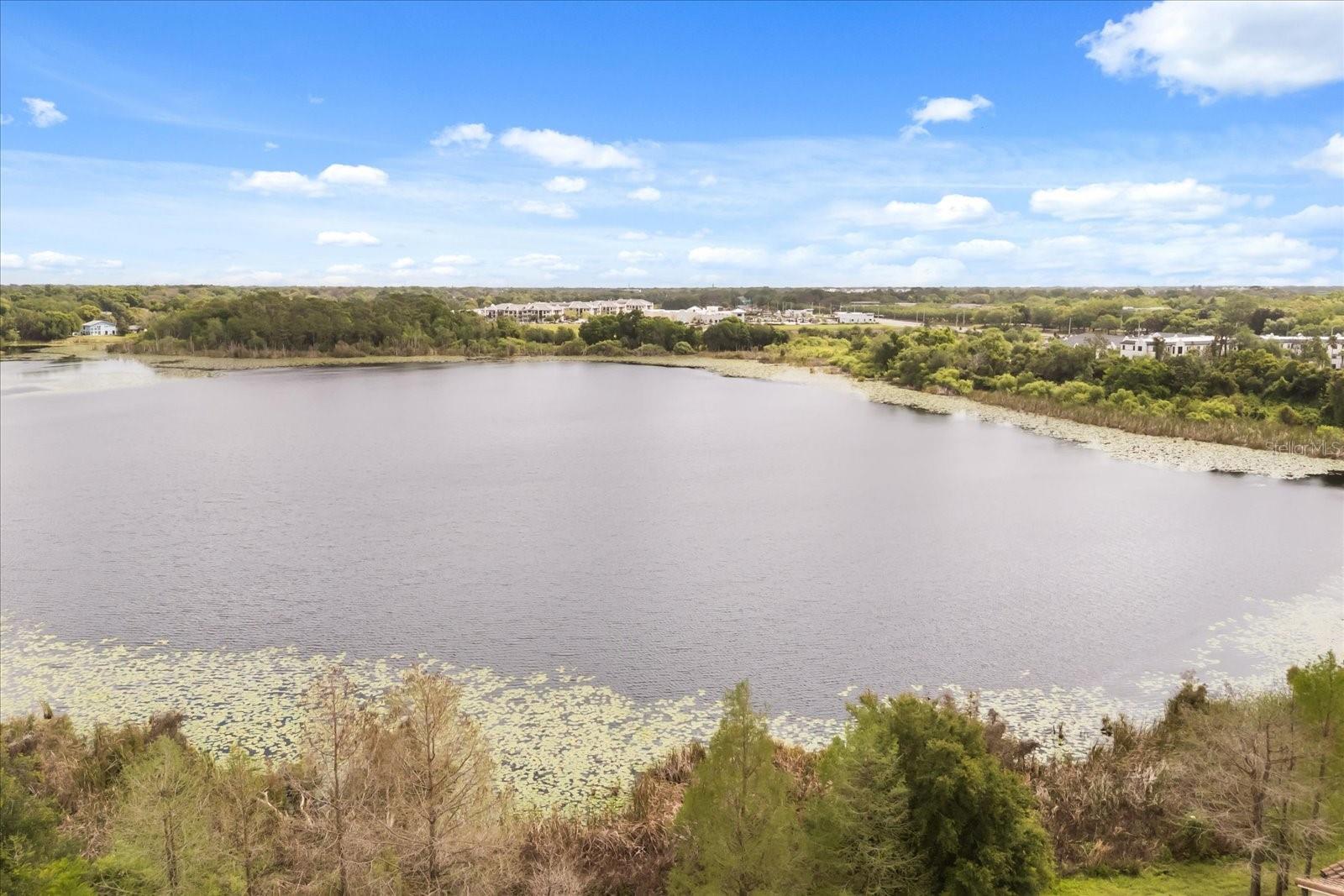 Image 40 of 44 For 1161 Charming Street