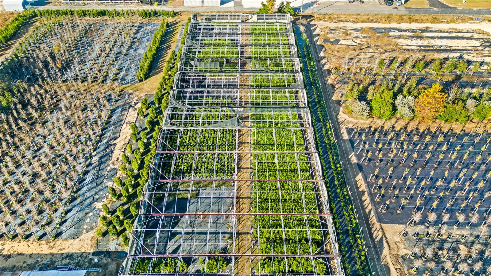 Image 26 of 30 For 4004 Rex Drive