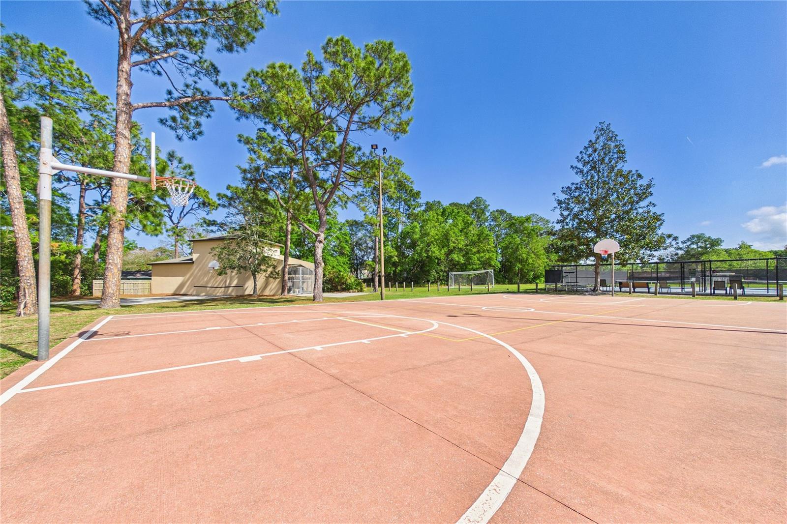 Image 52 of 65 For 2487 Winged Elm Drive E