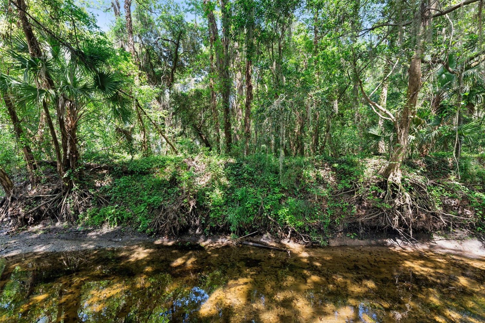 Image 37 of 51 For 621 Little Wekiva Road