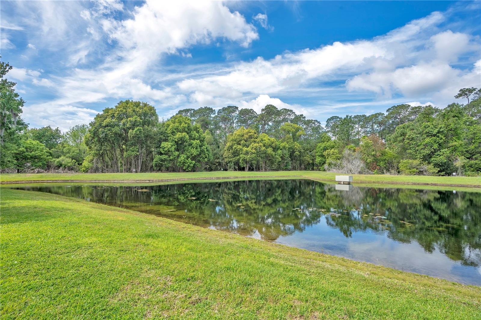 Image 32 of 41 For 9149 Pecky Cypress Way