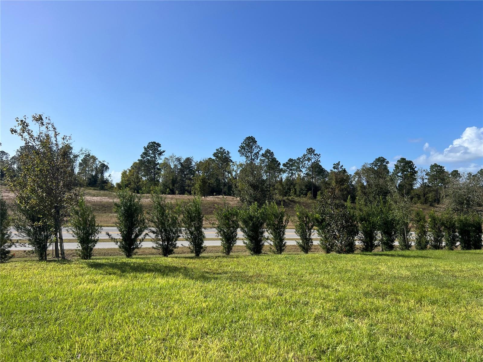 Image 49 of 94 For 2321 Mystic Maze Lane