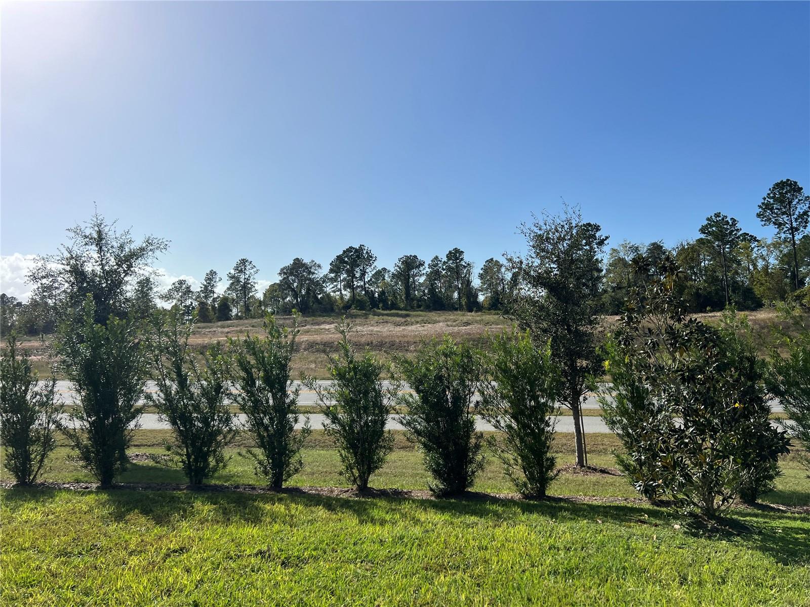 Image 50 of 94 For 2321 Mystic Maze Lane